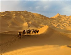 新疆之旅，愛上著遼闊無(wú)際大沙漠
